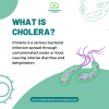 What is cholera?