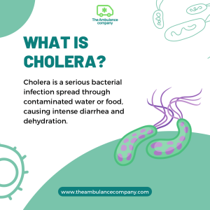 What is cholera?